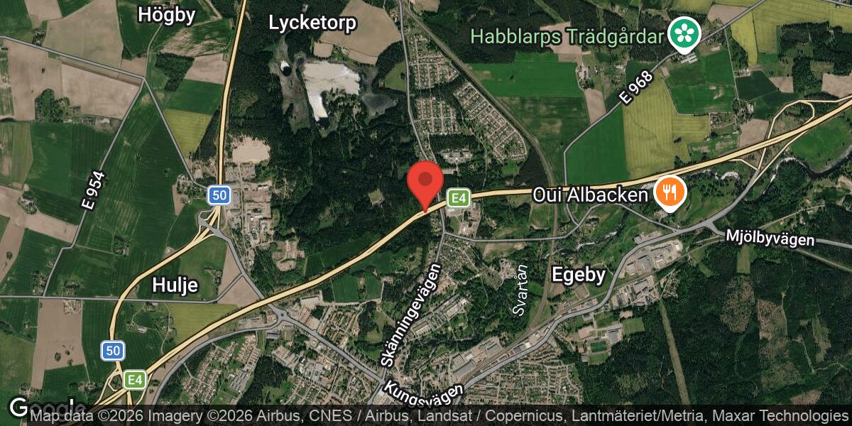 Djur på vägen vid Mjölby påverkar trafiken på E4