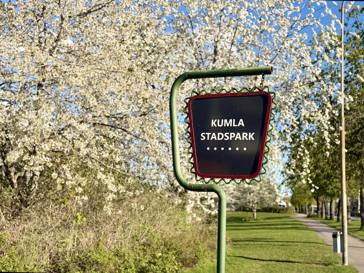 En svart skylt med röd kant och texten "KUMLA STADSPARK" hänger från en grön stolpe, omgiven av blommande träd med vita blommor under en blå himmel.