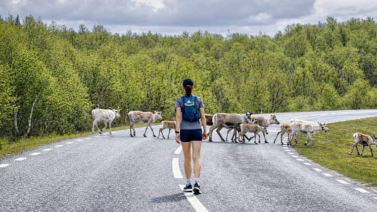 Premiär för Tänndalen 100 miles – ultralopp mellan Sverige och Norge i juni