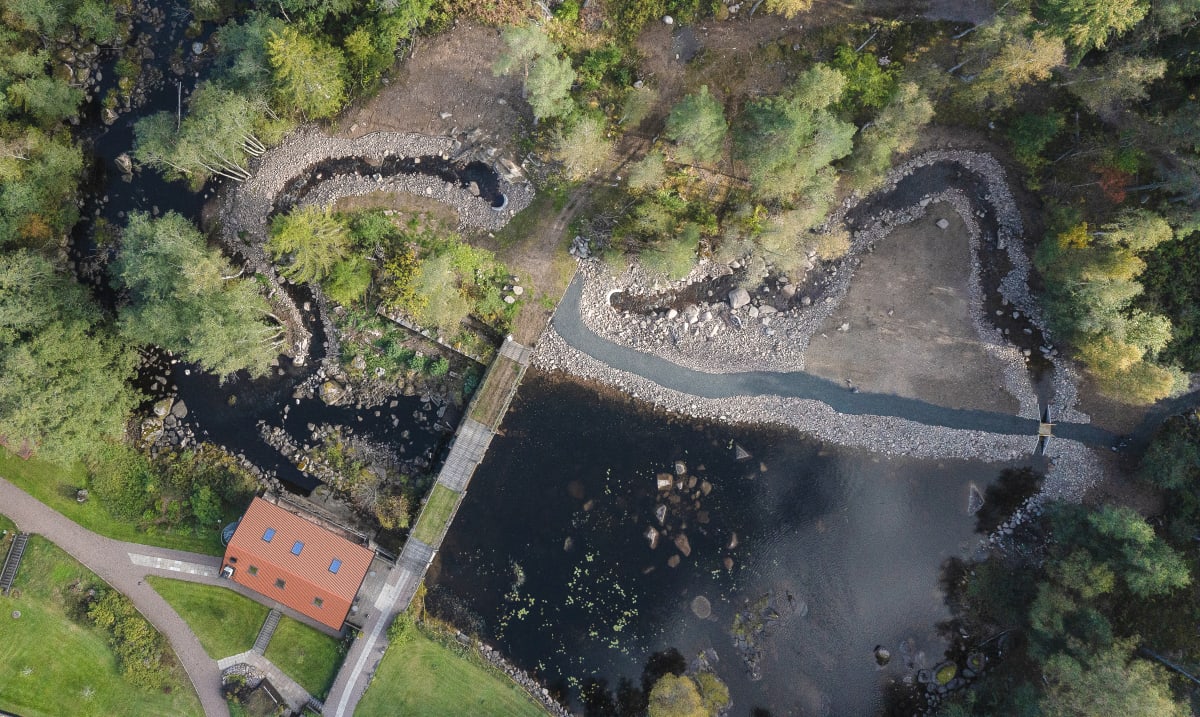 Tranås Energi inviger 2,5 mil lång vattenväg – ska ge fri fiskvandring för första gången på 100 år