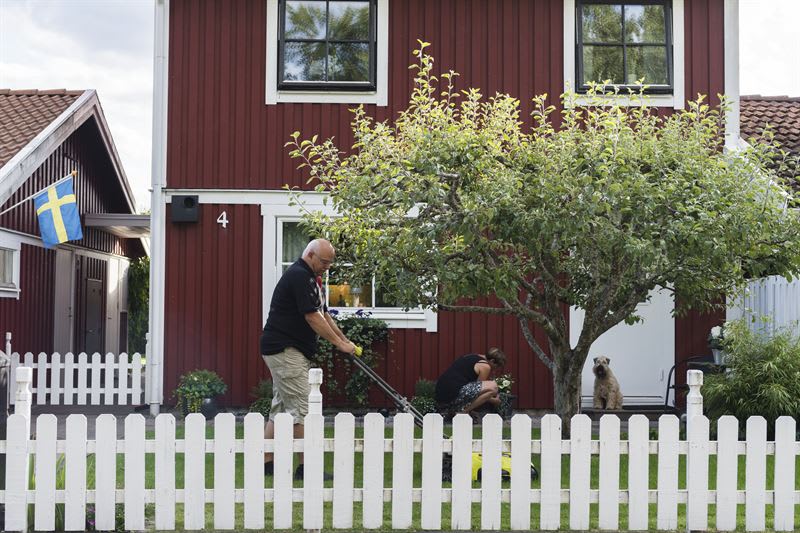 Ny rapport: Skällande hundar och högljudda fester stör mest i villaområden