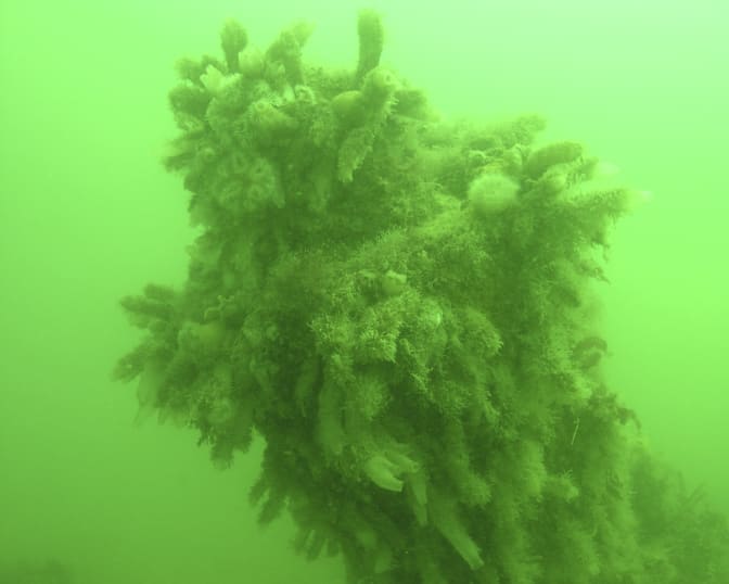 Misstänkt plundring av 1700-talsvrak i Marstrand – polisanmält