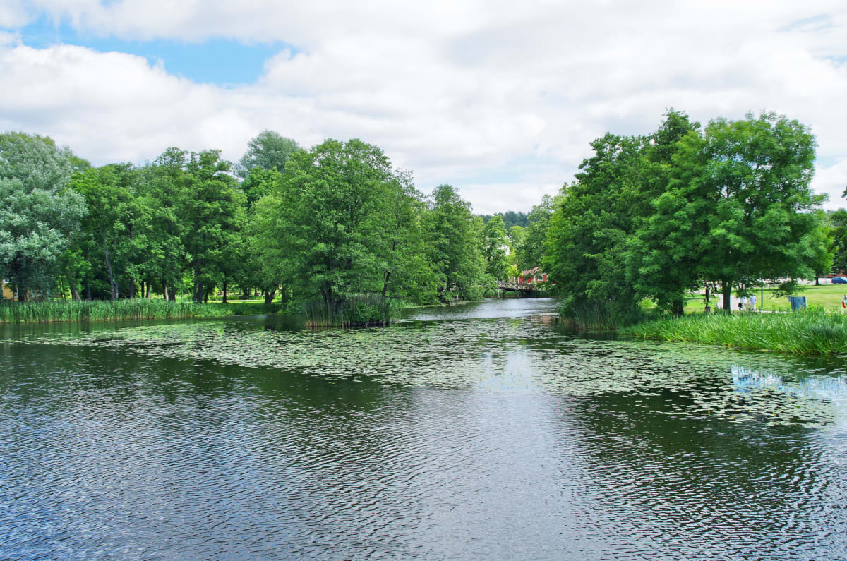 En bild över en sjö eller större damm med lugnt, mörkt vatten som reflekterar himlen. Vattenytan är delvis täckt av näckrosblad och gräsväxtlighet syns längs kanterna. På båda sidor av vattnet växer lummiga gröna träd. I bakgrunden syns skymten av en
