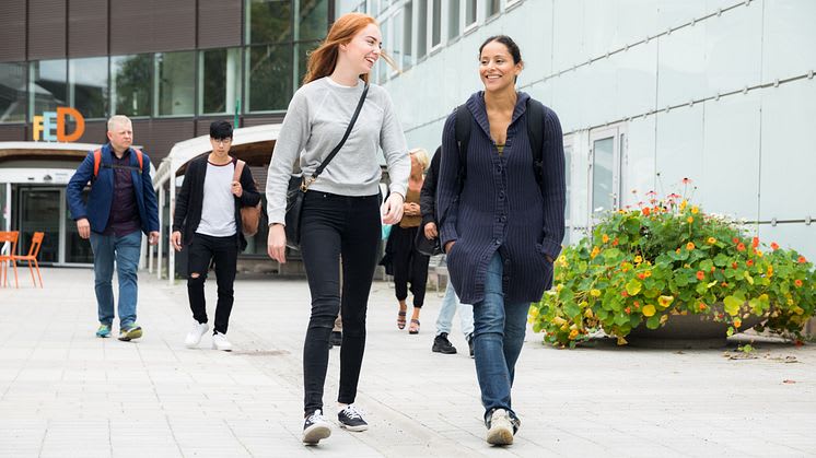 Färre antagna till högskolan – men fler behöriga när utbildningsutbudet minskar