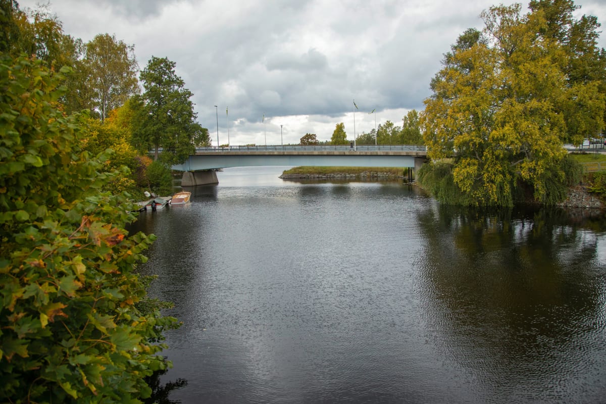 Kort läsning: Mulet väder, temadagar och snabba nyheter
