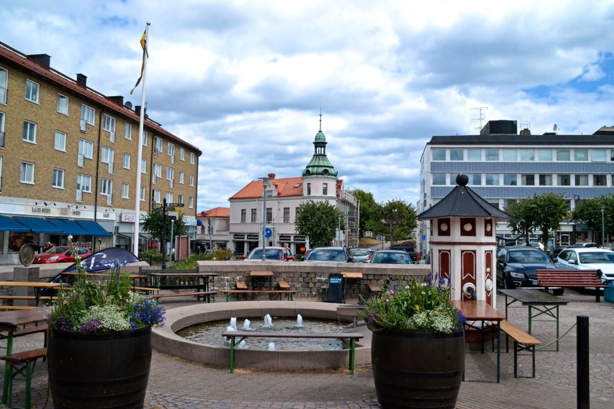 Valdag, sjöfart och sten – dagens lokala överblick