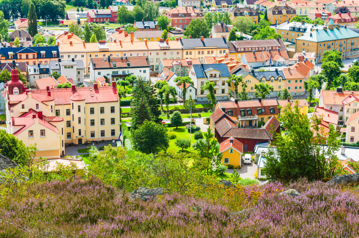 En översiktsbild av en stad sedd från ovan, med många färgglada hus med röda tak omgivna av lummiga gröna träd och en grönskande miljö. Förgrunden består av lila ljung och några stenar.