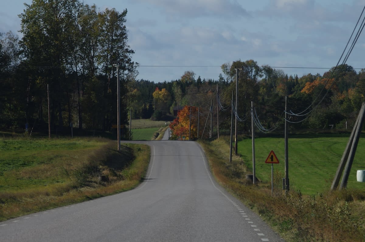 Valdag och kulturarv i dagens snabba överblick