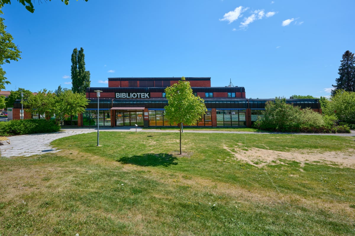 Snabbkollen: väder, bibliotekshjälp och internationella dagar