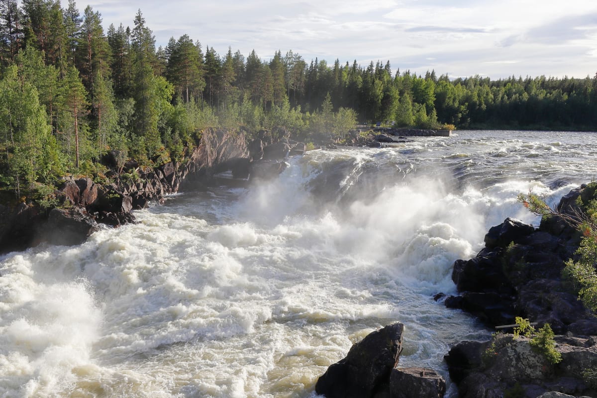 Morgonregn och temadagar — din snabba nyhetsöversikt