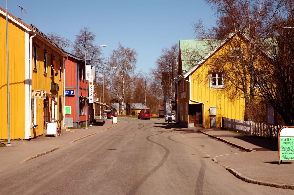 Nattens händelser i Norrbottens län: viltolyckor och misstänkt skadegörelse