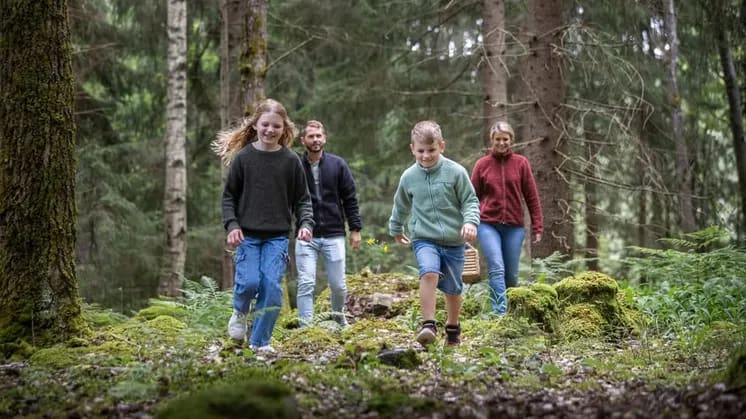 Kilsbergsdagen är tillbaka – friluftsaktiviteter i Kilsbergen 20 september