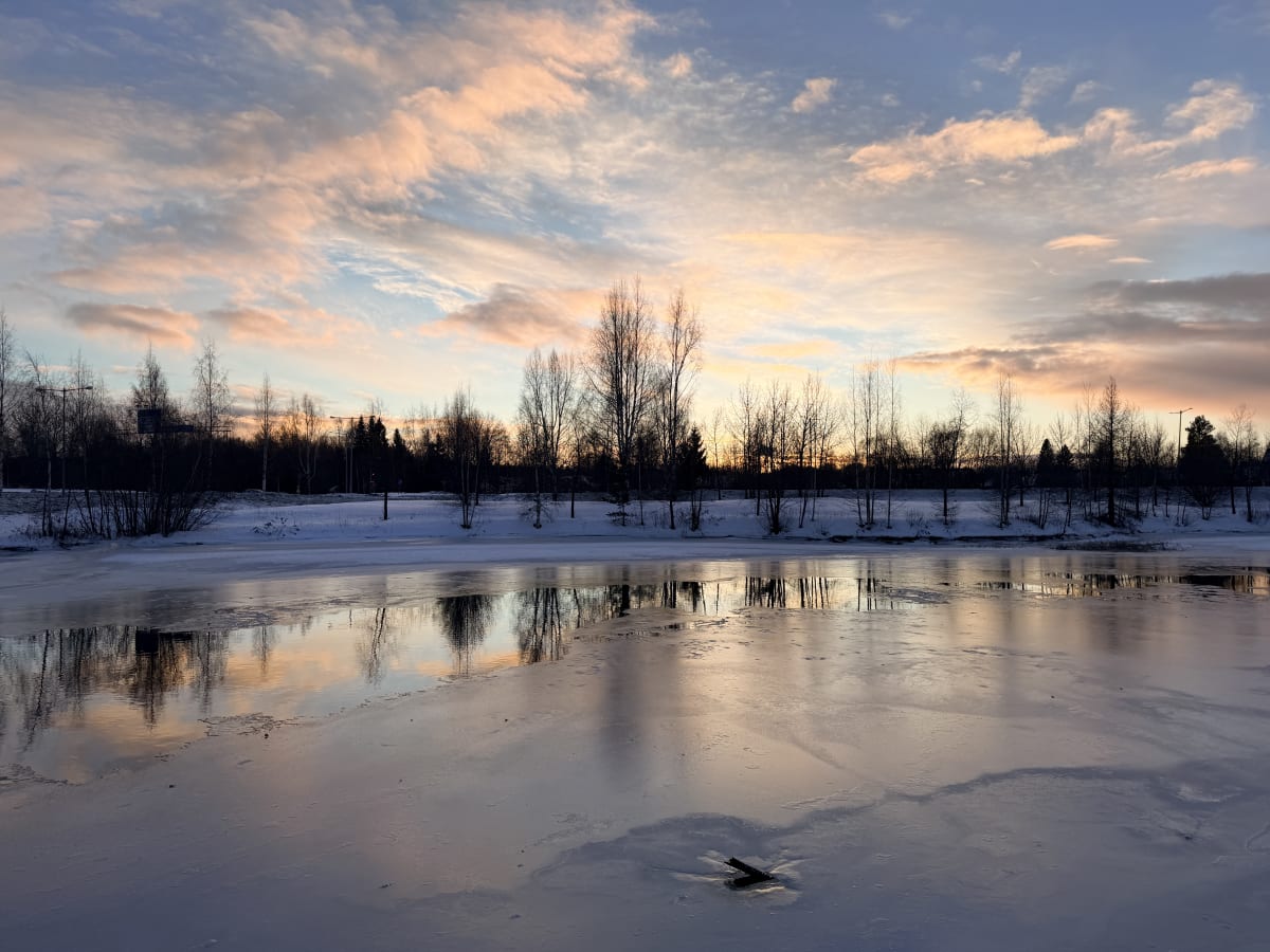 Bilden visar ett vinterlandskap med ett delvis isbelagt vattenområde i förgrunden, som reflekterar himlen. Marken runt vattenområdet är täckt av snö. I bakgrunden syns en skogskant med lövträd och barrträd, de flesta lövträd är kala. Himlen är täckt