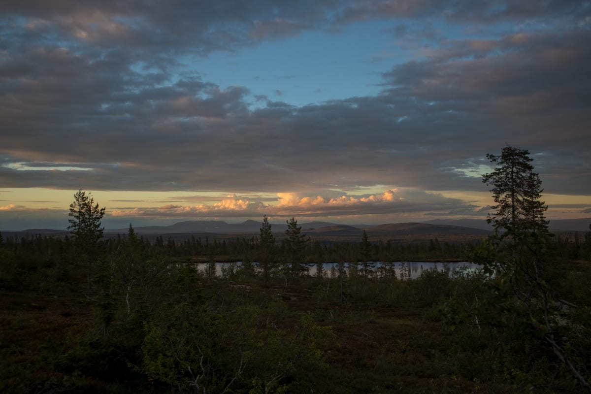 Bilden visar ett landskap med en sjö eller större vattensamling i förgrunden, omgiven av träd och låg vegetation. Vattnet reflekterar träden längs strandlinjen. Bakom sjön sträcker sig en skogig terräng med spridda träd, som övergår i en bergskedja e