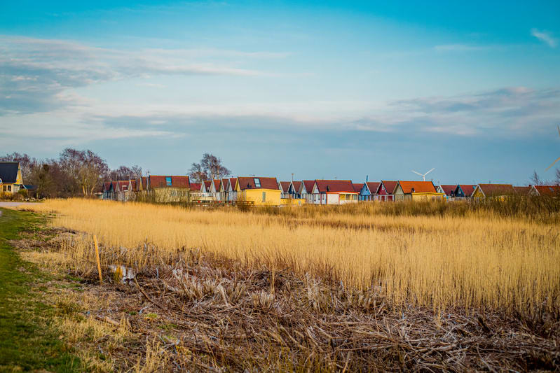Bilden visar ett landskap med ett brett fält av torkat vass eller högt gräs i förgrunden, som sträcker sig över större delen av den nedre halvan av bilden. Längs horisonten syns en rad små, färgglada hus med röda tegeltak. Husen är målade i olika fär