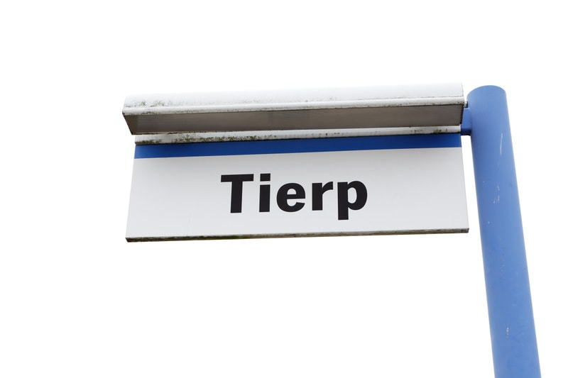 Bilden visar en ensam vit skylt med texten "Tierp" i svarta versaler. Skylten är fäst vid en blå stång som är synlig till höger i bilden. Ovanför texten finns en smal blå rand och ovanför den en metallskena som ser ut att vara en del av skyltens fäst