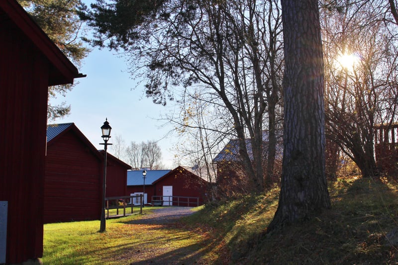Dimma, elpris och världsläge i dagens översikt