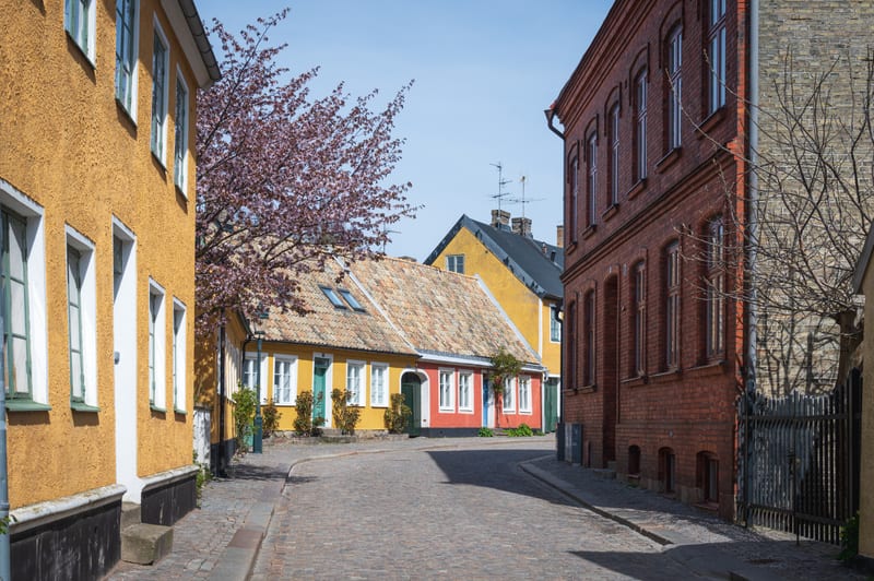 En gata med gatsten i en stadsmiljö, kantad av byggnader i olika färger. Till vänster i bilden syns en gul byggnad med vita fönsterkarmar och en mörk sockel. En blommande buske med rosa blommor står mellan den gula byggnaden till vänster och de enfam