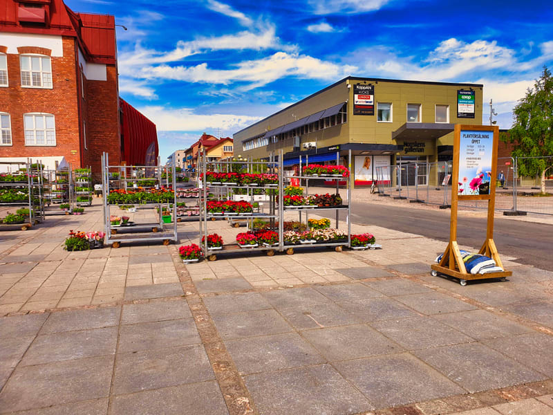 Bilden visar ett torg eller en öppen yta med flera rullande ställningar fyllda med blommor i krukor. Blommorna har röda och gula färger. I bakgrunden till vänster syns en röd tegelsbyggnad med vita fönster. Till höger i bakgrunden finns en gulaktig a