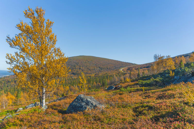 Klar höstdag och dagens digitala spaningar