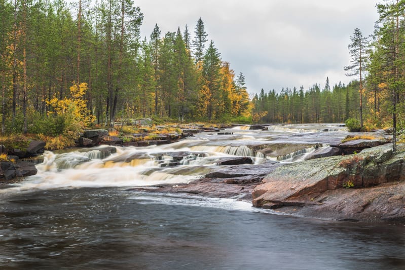 Moln över dagen – hälsa och 4H i fokus