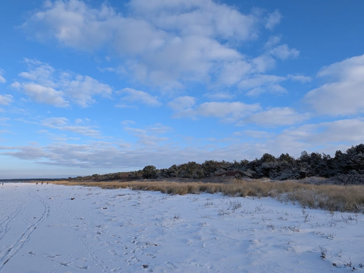 Panoramabild som visar ett snötäckt landskap under en klarblå himmel med vita moln. I förgrunden syns ett vitt snötäcke med spår av fotsteg och skidor/pulka. Bakom snötäcket övergår marken i ljusbrunt gräs och buskage. Längre bort, i mitten och till höger i bilden, sträcker sig en rad med barrträd och vintergröna buskar som också har inslag av snö. Horisonten anas i bakgrunden till vänster, där himlen möter ett mörkare parti av landskapet. Få personer syns i fjärran, små i storlek p.g.a. distansen.