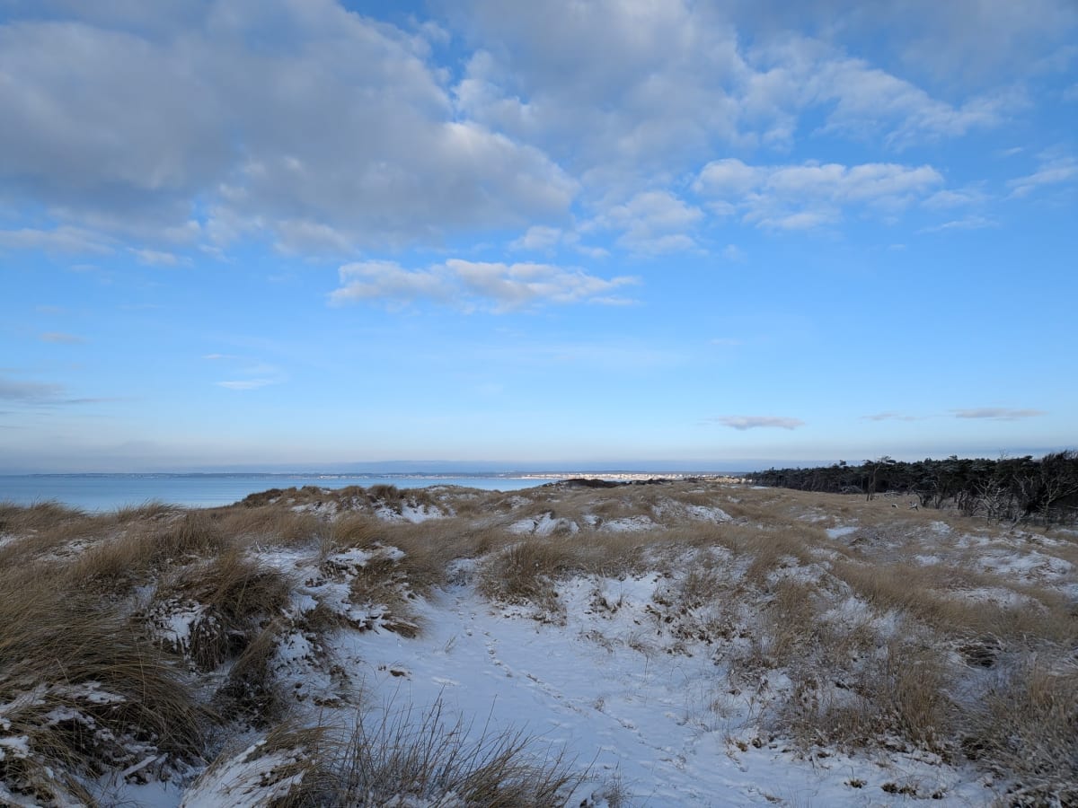 En vidvinkelbild tagen utomhus under dagtid visar ett vinterlandskap dominerat av sanddyner täckta med torr gräsvegetation och snö. I förgrunden och mellanregistret syns snötäckta områden med mörkare grästuvor som sticker upp genom snön. Längre bort i bakgrunden breder en större vattenyta ut sig under en klarblå himmel med spridda moln. Vid horisonten, bortom vattnet, anas en landremsa med bebyggelse. Till höger i bilden finns en skogskant med träd och buskar som delvis är täckta av snö.