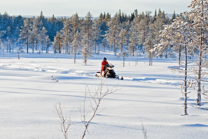 Bilden visar ett snöigt vinterlandskap med en person på en snöskoter. Personen bär en röd-orange overall och en hjälm. Snöskotern är mörk och befinner sig på ett spår i den orörda snön. I bakgrunden syns en tät skog av snötäckta barrträd, vilket indi