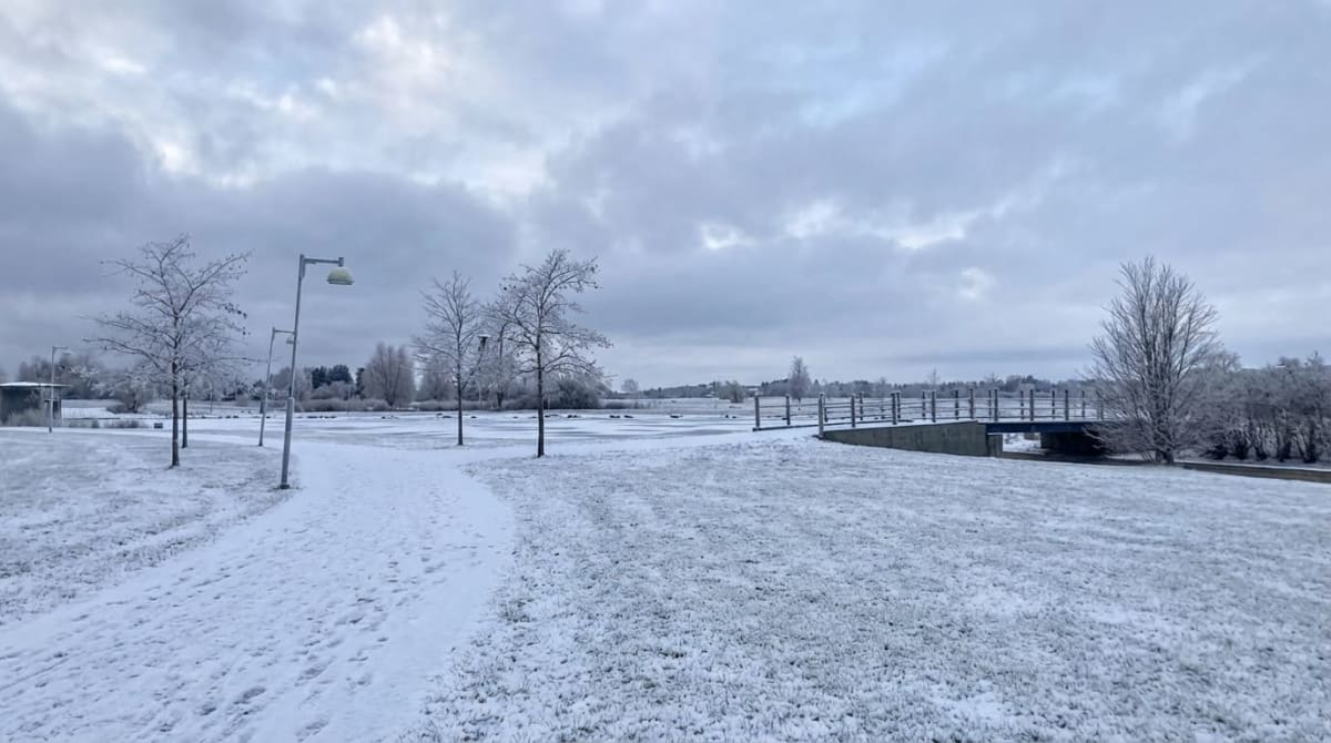 Bilden visar ett snötäckt landskap med en stig i förgrunden som leder mot en sjö eller större vattenyta. Stigen är täckt av ett tunt lager snö och det syns spår i snön. Till vänster om stigen finns flera träd med tunna grenar som också är täckta av s