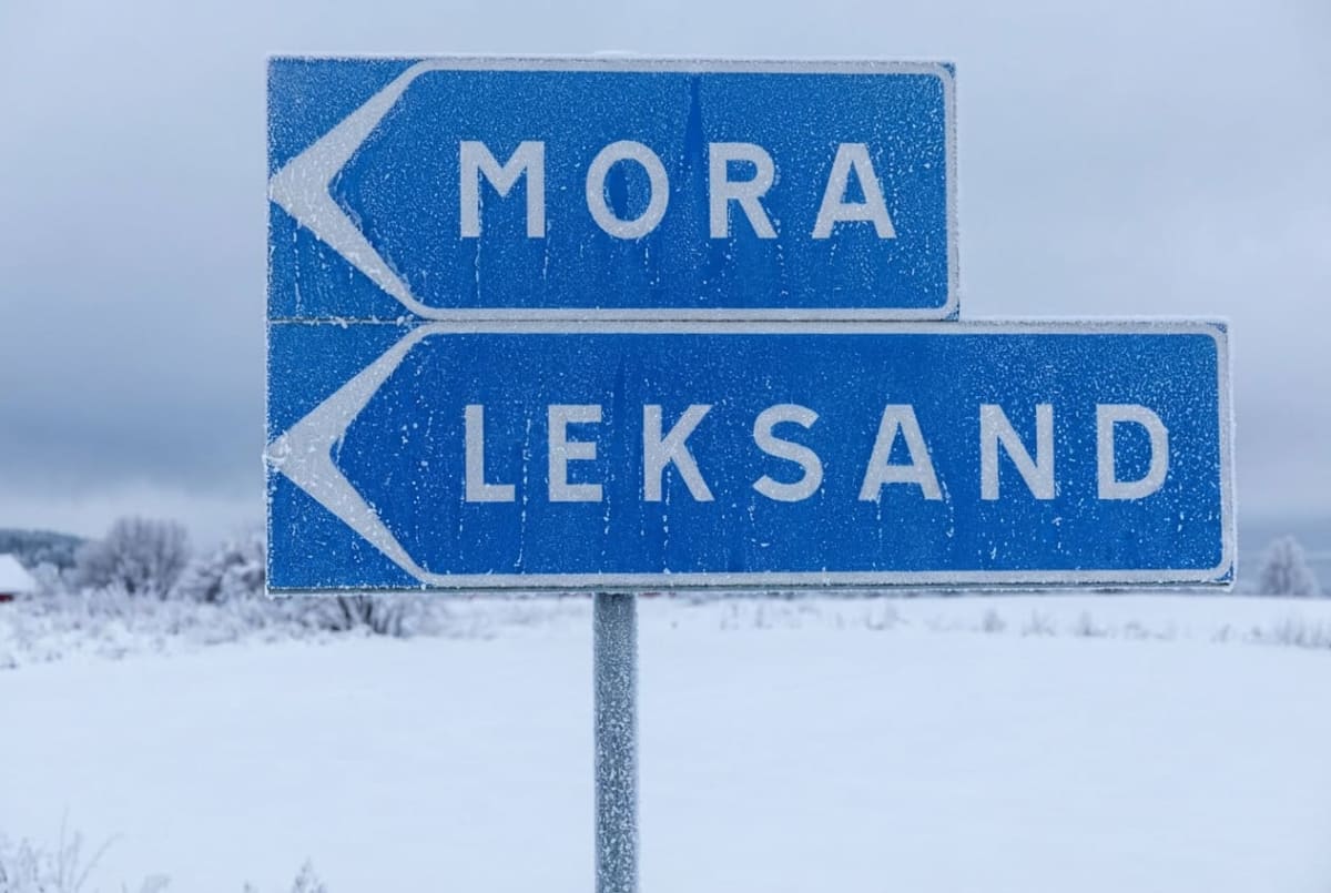 En blå vägskylt med vit text står i ett snöigt vinterlandskap. Skylten är kantig och uppdelad i två sektioner. Den övre sektionen har vit text som lyder "MORA" och pekar åt vänster med en vit pil. Den nedre sektionen lyder "LEKSAND" med vit text och pekar också åt vänster med en vit pil. Båda skyltarna är täckta av ett tunt lager frost. Stolpen som håller skyltarna är också frostig. I bakgrunden syns ett fält täckt av snö och snötäckta träd. En röd byggnad skymtar i den vänstra delen av bilden, delvis dold av träd. Himlen är ljus och mulen.