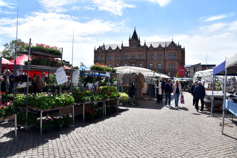 En utomhusbild som visar en marknadsplats på ett kullerstenstorg under dagtid. I förgrunden till vänster står ställningar med växter och blommor och skyltar med priser, bland annat "pelargoner 60 kr, 2 för 100 kr". Rödprickiga växter är framträdande.