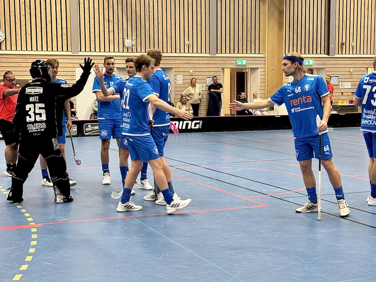 En grupp personer befinner sig i en idrottshall, troligen för innebandy. I förgrunden till vänster står en person klädd i svart målvaktsutrustning, vänd mot mitten av bilden med höger hand uppsträckt. På ryggen syns texten "MATZ 35 NAJS" och ett tele