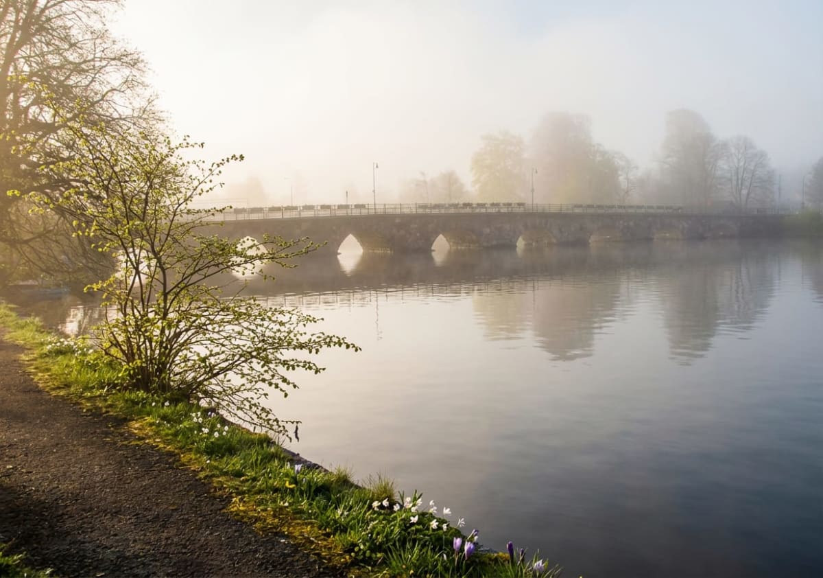 Bilden visar ett landskap med en bro över vatten en dimmig morgon. I förgrunden till vänster syns en stig eller gångväg, och intill den gräs med små vårblommor i vita och lila nyanser. En buske med små ljusgröna blad och en del nakna träd med knoppar eller små blad står vid vattnet. Vattnet reflekterar ljuset och bron. Bron är byggd i sten med flera valv, och ovanpå den syns ett metallräcke samt några lyktstolpar. Dimman ger bilden en mjuk och disig atmosfär. Träd syns även på andra sidan vattnet i bakgrunden, delvis dolda av dimman.