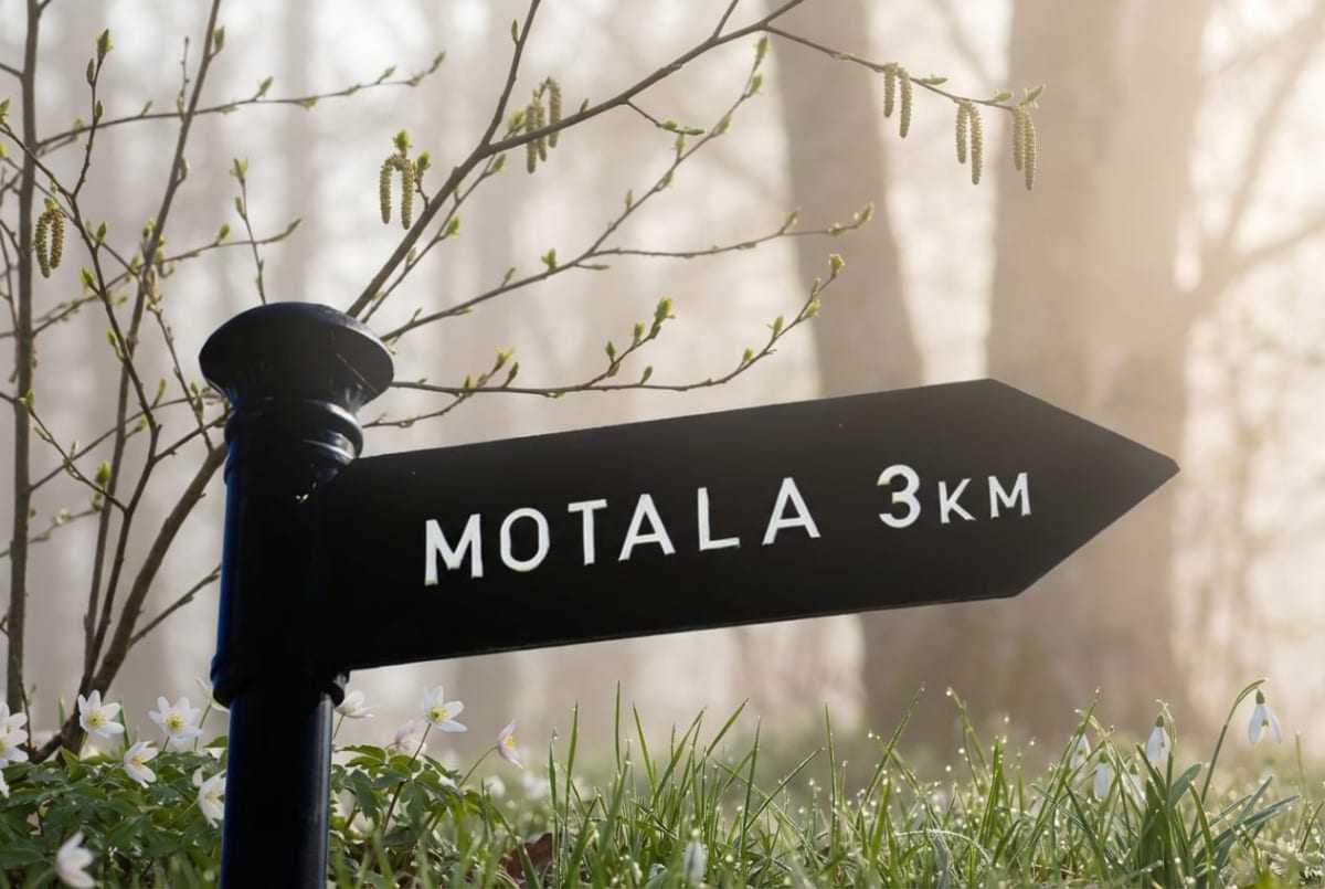 Bilden visar en svart, pilformad skylt med texten "MOTALA 3KM" i vita versaler, monterad på en svart stolpe. Skylten pekar åt höger. I förgrunden syns grön gräsmatta med daggdroppar och flera små vita blommor, varav några liknar vitsippor och snödroppar. Bakom stolpen och skylten finns grenar med nyutsprungna ljusgröna blad och raklar. Bakgrunden är oskarp och disig med antydan till träd, vilket skapar ett mjukt och ljust intryck.