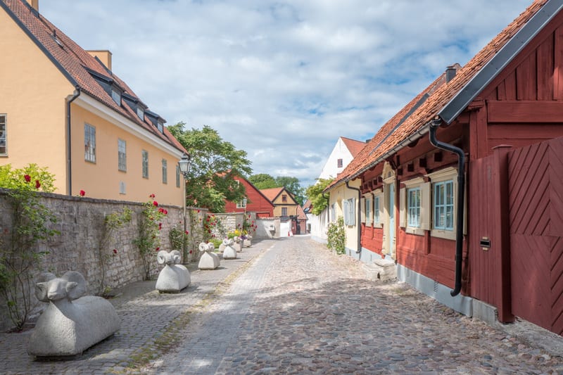 En kullerstensgata kantas av byggnader och stenstatyer. Till vänster syns en ljusgul byggnad med rött tak och flera fönster, bakom en stenmur bevuxen med röda rosor. Fem gråa stenstatyer föreställande vädurar står längs muren. Till höger sträcker sig