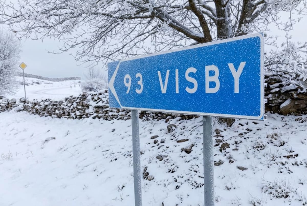 Bilden visar ett vinterlandskap med ett blått vägmärke i förgrunden som pekar åt vänster. På skylten står texten "93 VISBY" i vit färg, och hela skylten är täckt med ett tunt lager av frost eller snö, vilket indikerar kyla. Marken är täckt av snö, och man ser delvis en snöklädd stenmur i bakgrunden. Ett träd med kala, frostiga grenar syns i bildens övre del och ger intryck av att vara täckt av snö eller is. Till vänster i bakgrunden anas en väg som slingrar sig genom landskapet, och en gul vägskylt med en svart ram kan skönjas. Hela bilden förmedlar en känsla av kargt vinterväder.
