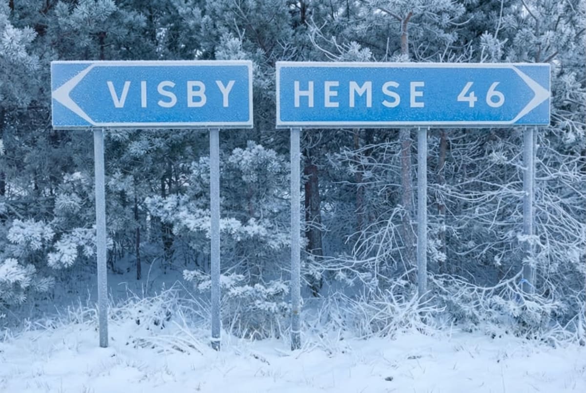 Bilden visar två blåvita vägskyltar som står bredvid varandra i ett snöigt och vinterklätt landskap. Skyltarna är monterade på metallstolpar som är täckta av frostrim. Den vänstra skylten pekar åt vänster och har texten "VISBY" i vita versaler. Den högra skylten pekar åt höger och har texten "HEMSE 46" i vita versaler. Markytan är täckt av ett lager snö och frostrim. I bakgrunden syns snöklädda träd och buskar, troligen barrträd som tallar, även de kraftigt täckta av vit frost. Vädret framstår som kallt med mycket snö och frost på vegetationen.