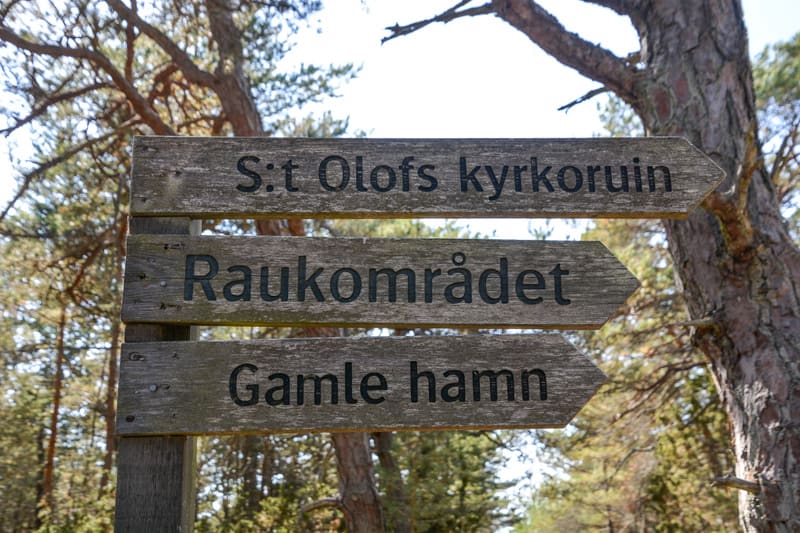 Bilden visar en träskylt med tre pilar som pekar åt höger. Överst står 'S:t Olofs kyrkoruin', i mitten 'Raukområdet' och nederst 'Gamle hamn'. Bokstäverna är svarta och texten är inbränd eller målad. Skylten är fäst vid en vertikal trästolpe, som är