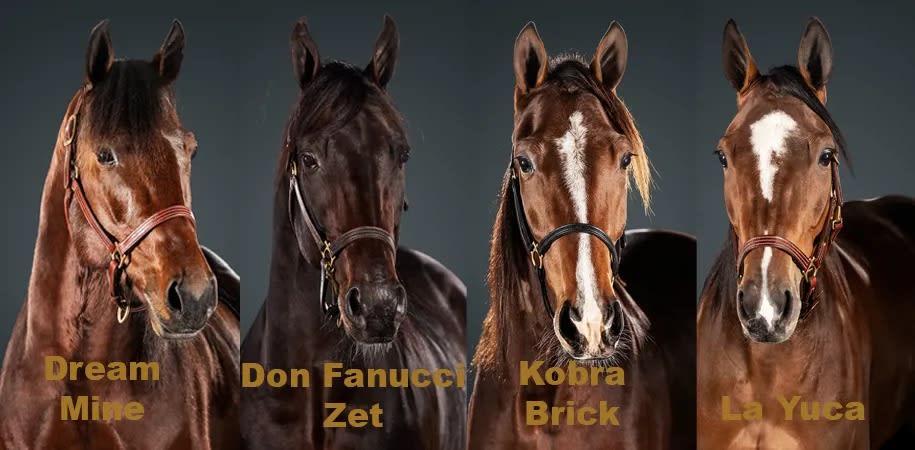 Hästarna nominerade