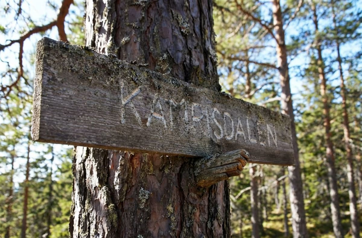 En träskylt med texten "KAMRISDALEN" är fäst vid en trädstam i en skogsmiljö. Skylten är gjord av grovt trä och har mossa eller lav på sig. Bakgrunden består av grönskande trädtoppar och en ljusblå himmel.