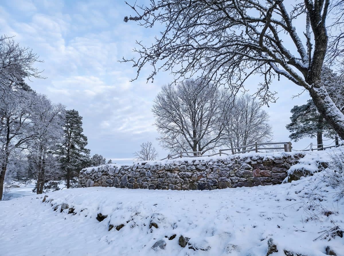 En vinterbild från ett snötäckt landskap under en molnig himmel. I förgrunden syns snötäckt mark och en låg stenmur. Bakom muren står träd med snö på grenarna, några barrträd och några lövträd utan löv. Ett vitt trästaket är placerat bakom stenmuren.