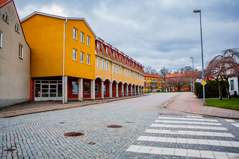 Morgonblicken: klar start, regn på väg och surkål i fokus
