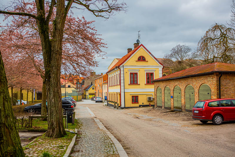 En gata med gatsten på ena sidan och en grusväg på andra, kantad av byggnader och blommande träd. En rad gula byggnader med röda fönster syns längs gatan, samt en tegelbyggnad med grönmålade portar. Flera bilar är parkerade längs gatan.