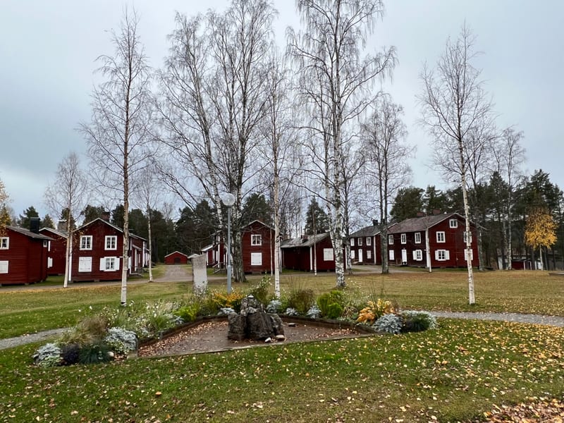 Fermentering, höstluft och dagens lokala hållpunkter