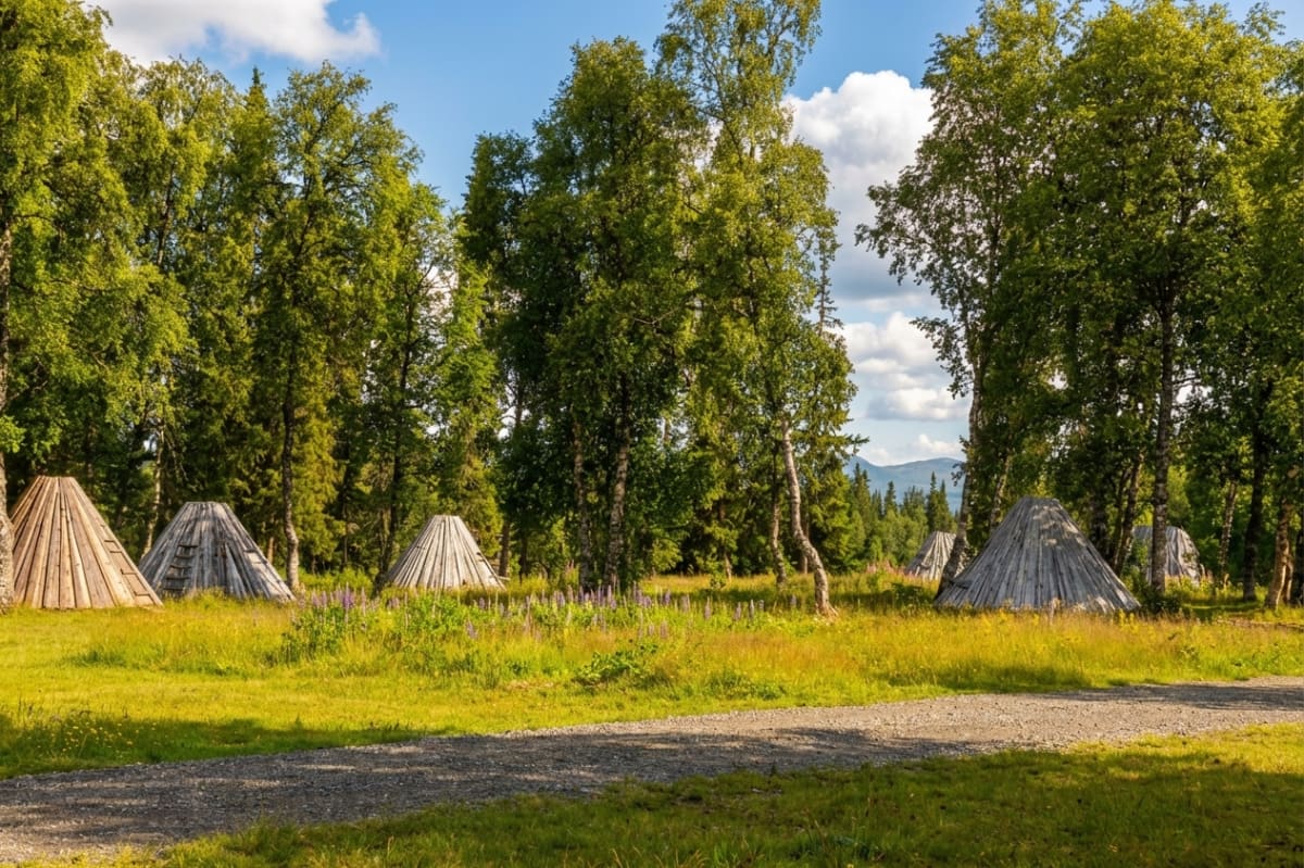 En utomhusbild som visar en grusväg i förgrunden, omgiven av gräs och lila blommor. I bakgrunden syns flera trädkåtor eller förvaringstältdelar av trä, placerade bland lövträd som björkar och barrträd. En bergskedja anas i horisonten under en blå him