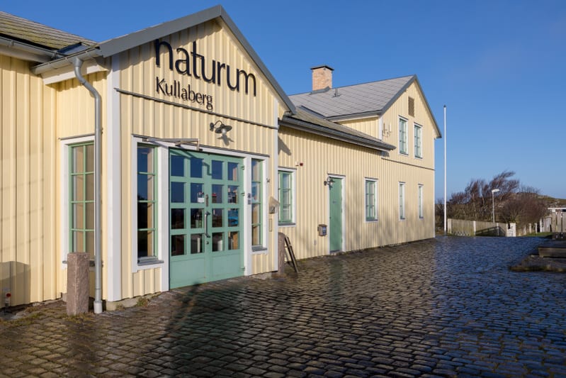 En gulmålad träbyggnad med texten "naturum Kullaberg" ovanför en grön dörr, fotograferad utomhus under en klarblå himmel. Framför byggnaden ligger gatsten och till höger skymtar andra byggnader och träd. Solen kastar långa skuggor på marken.