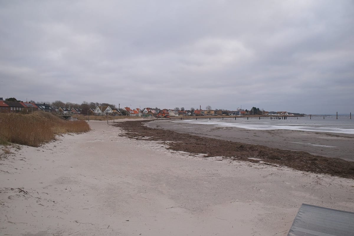 Kort sammanfattning: väder, evenemang och viktiga rubriker