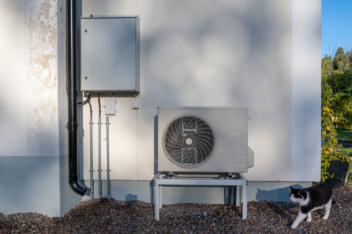 En svart och vit katt går på en grusad yta framför en vit husvägg med en värmepump monterad på ett stativ. På väggen syns även elinstallationer, en stuprör och en elskåpsliknande dosa. En del av väggen uppvisar flagnande färg.