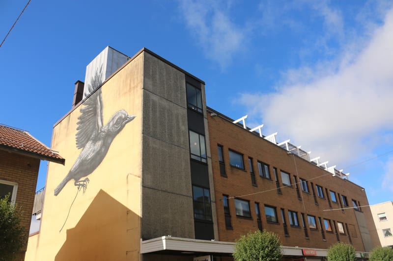 En gul byggnad med ett stort svartvitt fågelmotiv målat på väggen står i fokus under en klarblå himmel med spridda vita moln. Byggnaden till höger är av tegel med vita solavskärmare på taket. En grön buske syns i förgrunden.