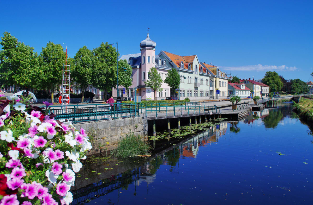 En bild tagen under en solig dag som visar en rad färggranna byggnader längs en kanal med lugnt vatten. På vänster sida i förgrunden syns blomsterarrangemang med lila och vita blommor. Gröna träd och en man i röd tröja syns också.